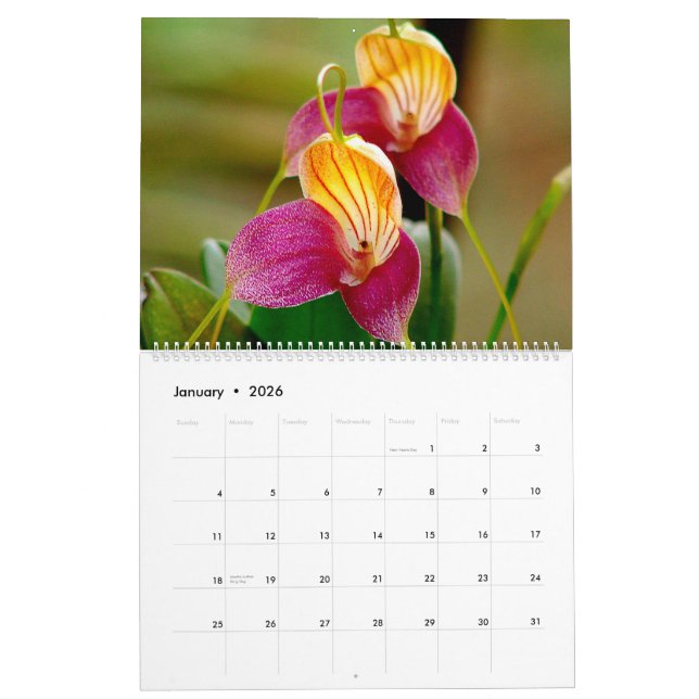 Orquídeas del calendario 2014 de Colombia (Jan 2026)