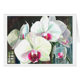 Orquídeas en la plena floración