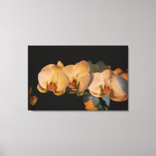 orquídeas en la puesta de sol impresión en lienzo