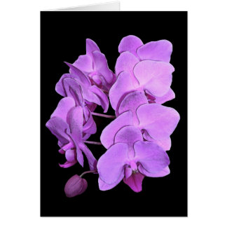orquídeas (estilo del fresco)