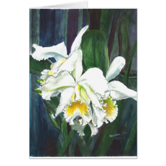 Orquídeas magníficas