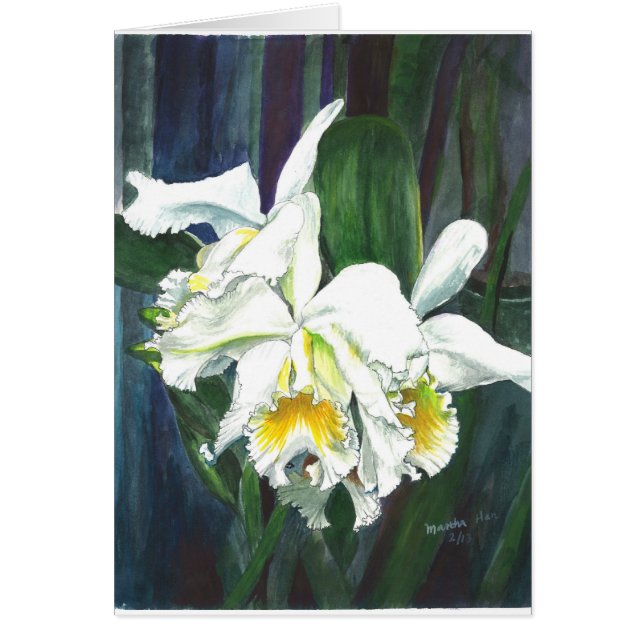 Orquídeas magníficas (Frente)