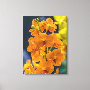 orquídeas naranjas cerrando la impresión de lienzo