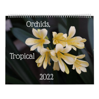 Orquídeas, Plantas Tropicales Calendario 2022