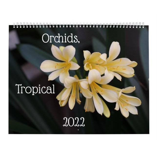 Orquídeas, Plantas Tropicales Calendario 2022 (Tapa)