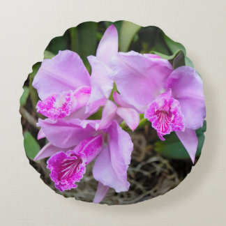 Orquídeas Púrpura Almohada redonda