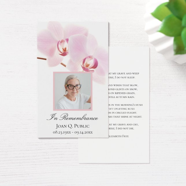 Orquídeas rosadas Flores conmemorativas del funera (Escritorio)