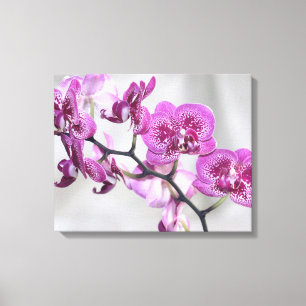 Orquídeas rosadas Lienzo envuelto