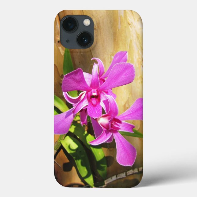 orquídeas rosadas para iPhone 13 Fundas (Reverso)