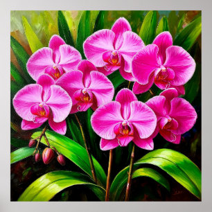 Orquídeas Rosadas Vibrantes Decoración Floral Trop