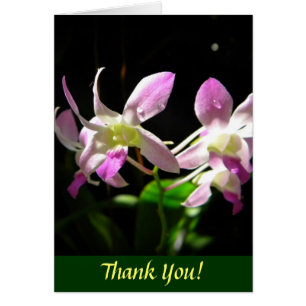 Orquídeas rosas