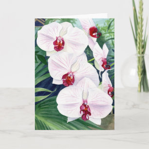 Orquídeas, tarjeta de felicitación