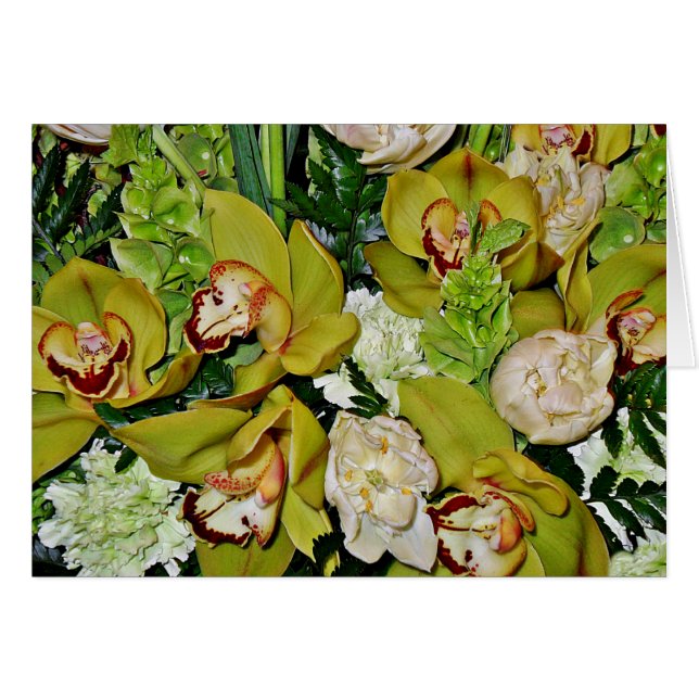 Orquídeas verdes del amor_ (Anverso (Horizontal))