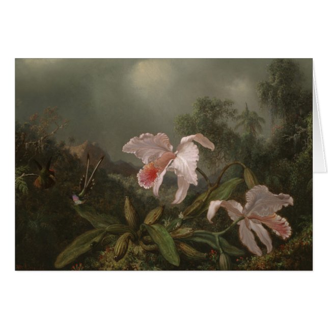 Orquídeas y colibríes de la selva (Anverso (Horizontal))