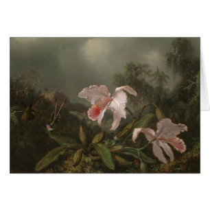 Orquídeas y colibríes de la selva