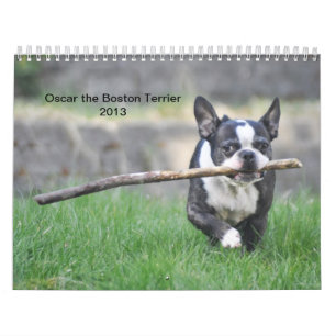 Óscar el calendario de Boston Terrier 2013