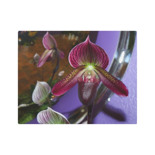 Oscuros Hues Lady Slipper Orquid Arte Pared Metali (Anverso)