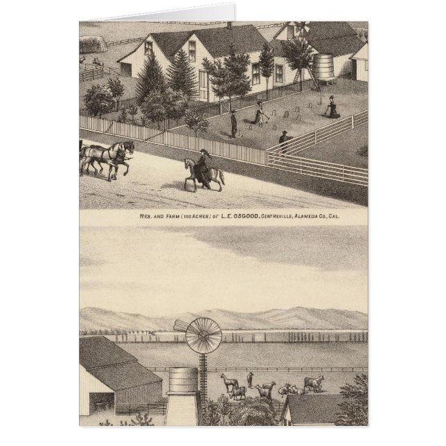 Osgood, residencias de Cameron, granjas (Frente)