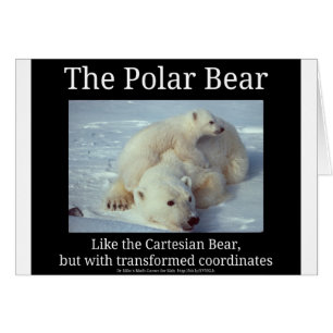 Oso cartesiano del oso polar