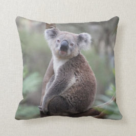 Oso cutáneo de Koala en un Cojín decorativo animal