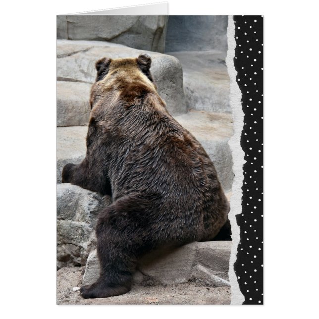 Oso de cumpleaños atrasado (Frente)