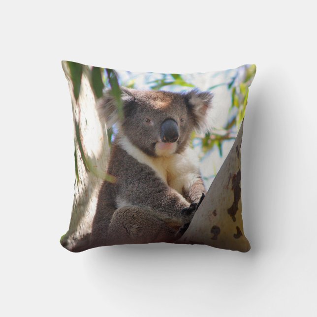 Oso de Koala en Cojín decorativo animal decorativo (Anverso)