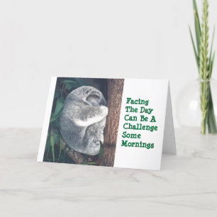 OSO DE KOALA EN TARJETA DE ÁRBOL/HUMOR/AMISTAD