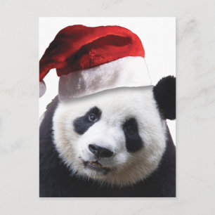 Oso de panda del navidad