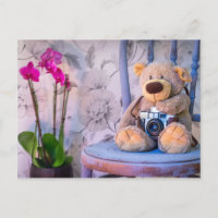 Oso de peluche con postal de cámara