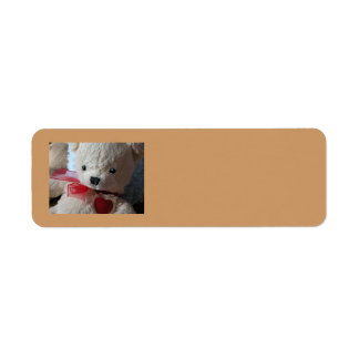 Oso de peluche - etiqueta de dirección de retorno