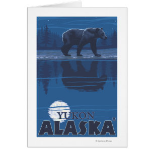 Oso en claro de luna - el Yukón, Alaska