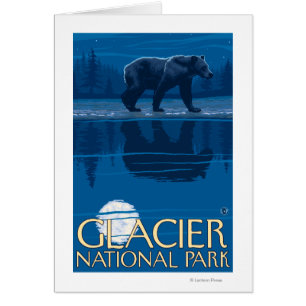 Oso en claro de luna - Parque Nacional Glacier, TA