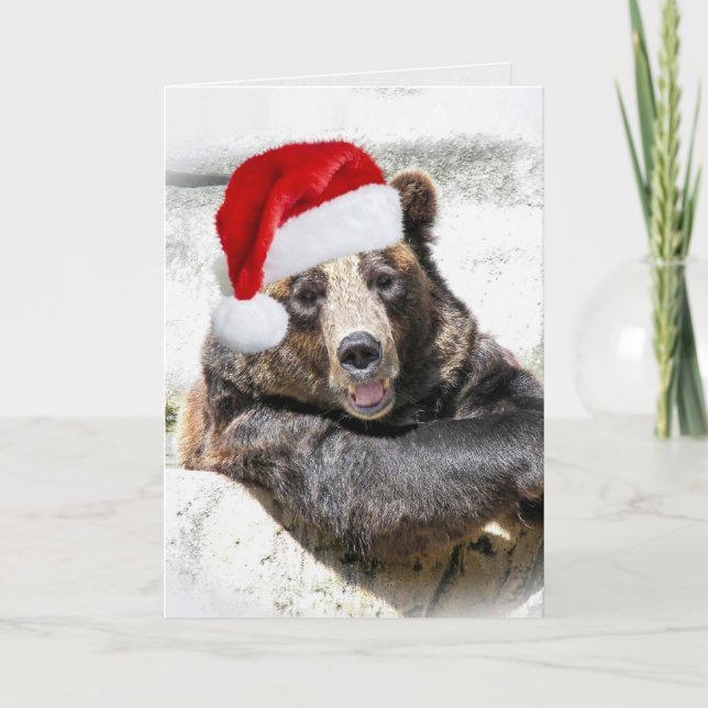Oso Grizzly Con Gorra Navidad (Anverso)