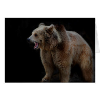 ¡Oso gruñón!
