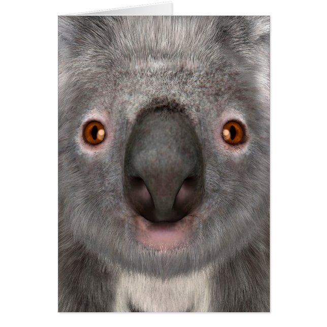 Oso Koala (Frente)
