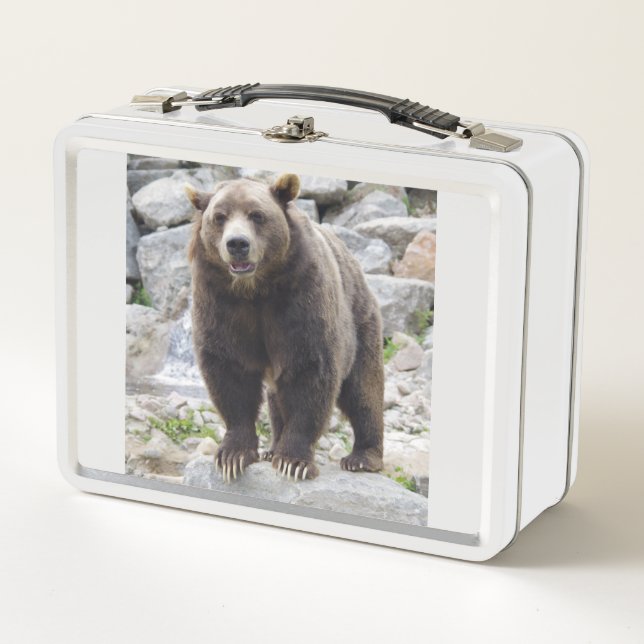 Oso Kodiak (Anverso)