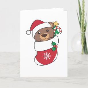 Oso Navidad Nieve Invierno Animales Osos