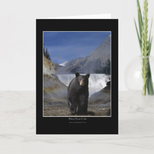 OSO NEGRO CAE Tarjetas de felicitación y tarjetas