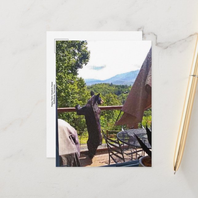 Oso negro con vistas en la postal de Gatlinburg (Anverso/Reverso In Situ)