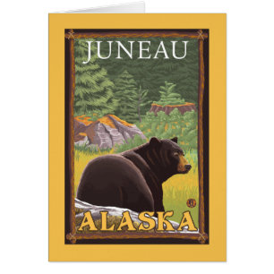 Oso negro en el bosque - Juneau, Alaska
