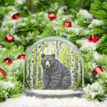 Oso negro en un bosque de abedules