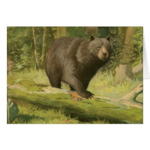 Oso negro pisando un tronco de árbol