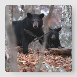 Oso Negro y Reloj