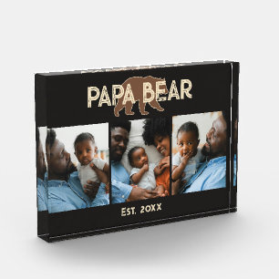 Oso Padre Año de Fundación 3 Foto