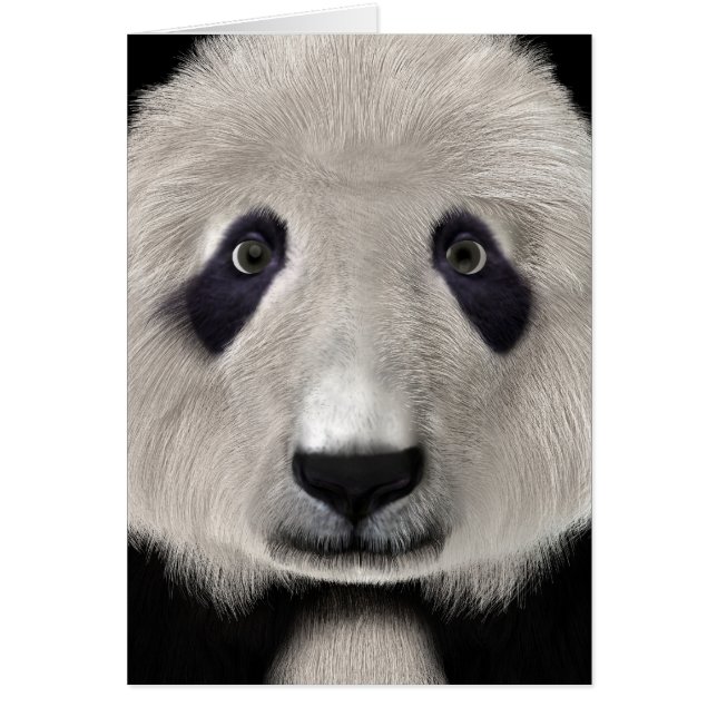 Oso Panda (Frente)