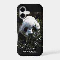 Oso panda lindo con hojas de bambú sabrosas