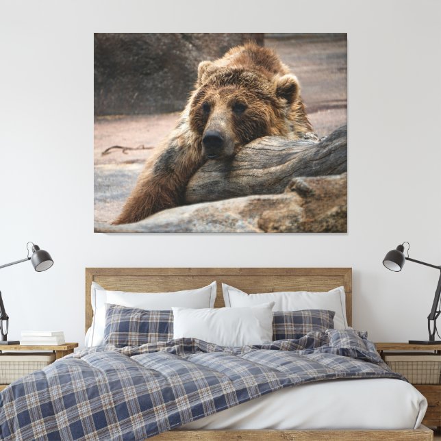 Oso Pardo Dormido Estirado Impresión en Lienzo (Insitu(Dormitorio))