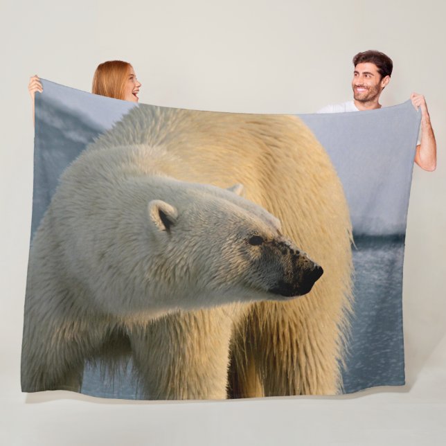 OSO POLAR (In situ)