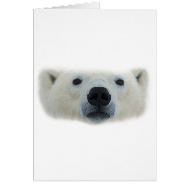Oso polar (Frente)