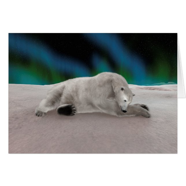 Oso polar (Anverso (Horizontal))